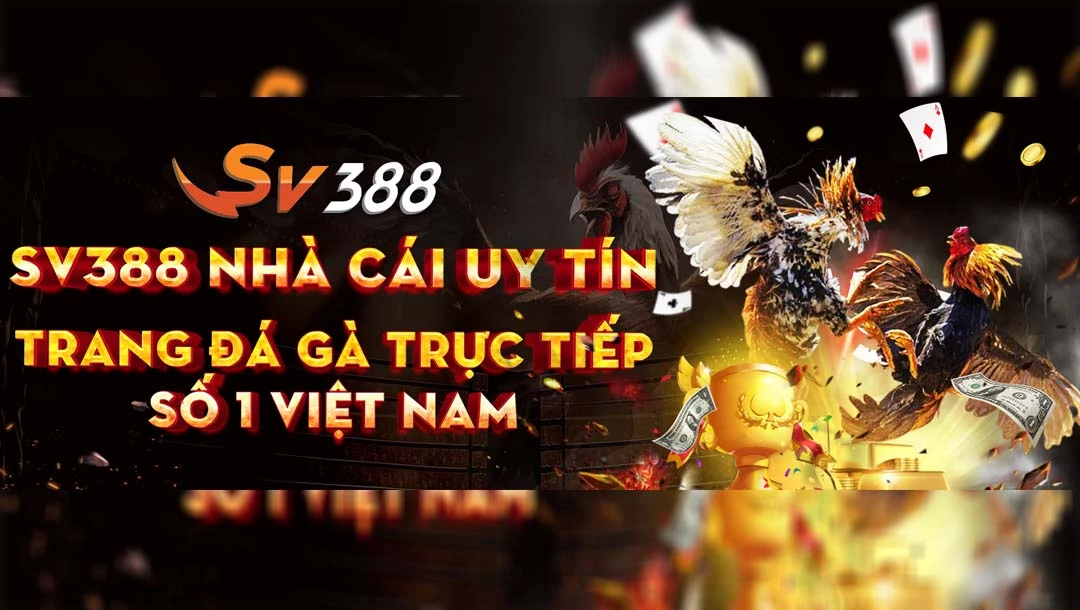 SV388 chiếm vị trí top 1 trong làng đá gà hiện nay 