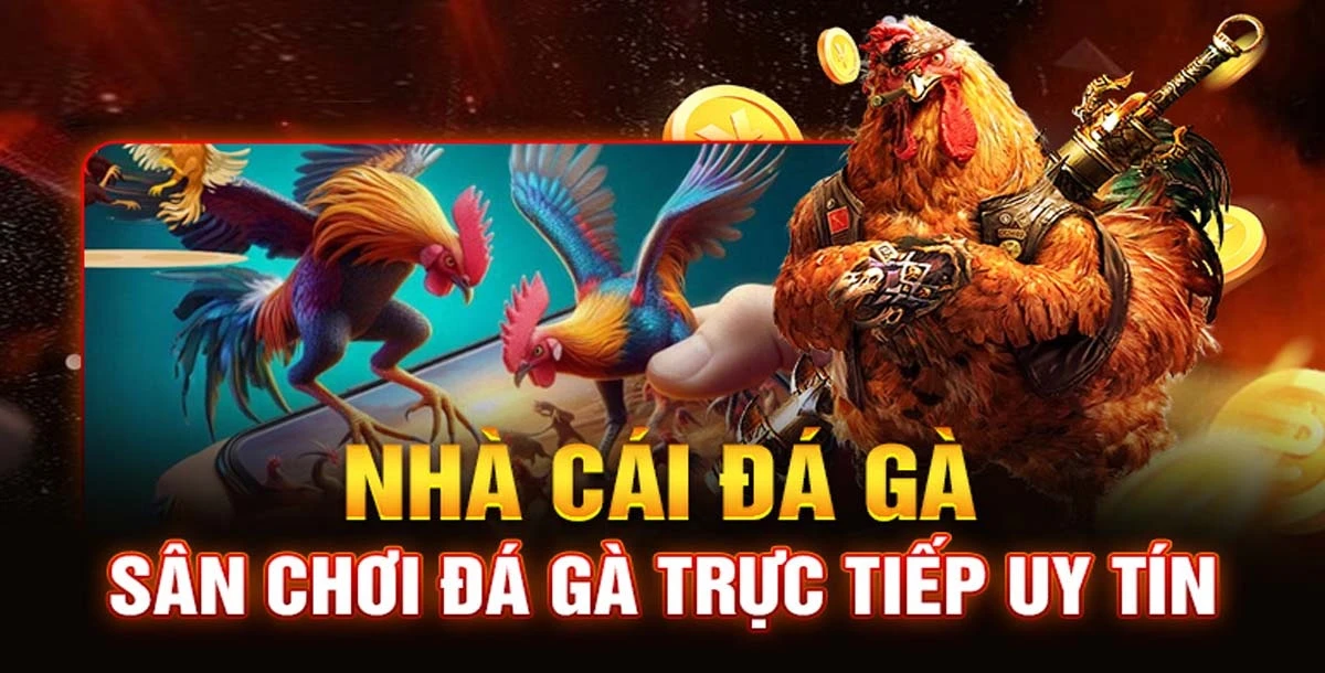 Top 10 Trang Đá Gà Trực Tiếp Uy Tín Nhất Hiện Nay